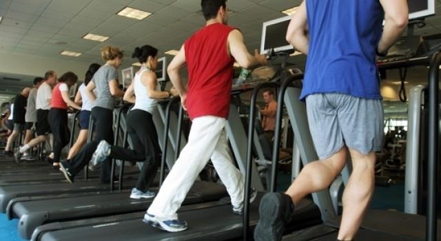 effective exercise program in the gym