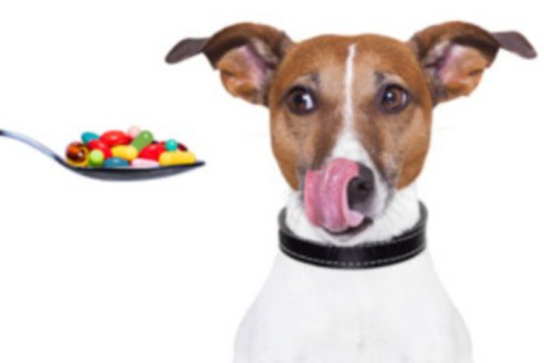 Tabletten gegen Würmer für Hunde дирофен
