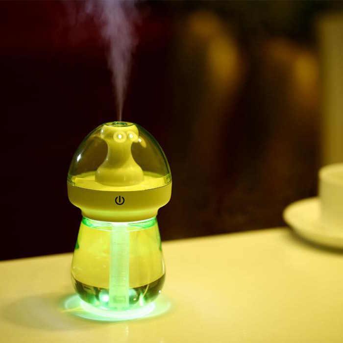 humidifier with fragrance and ionizer
