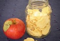 Secagem de maçã no microondas por 5 minutos