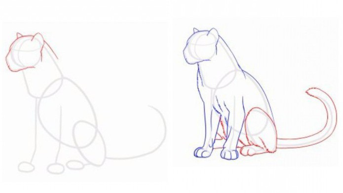 how to draw a Panther