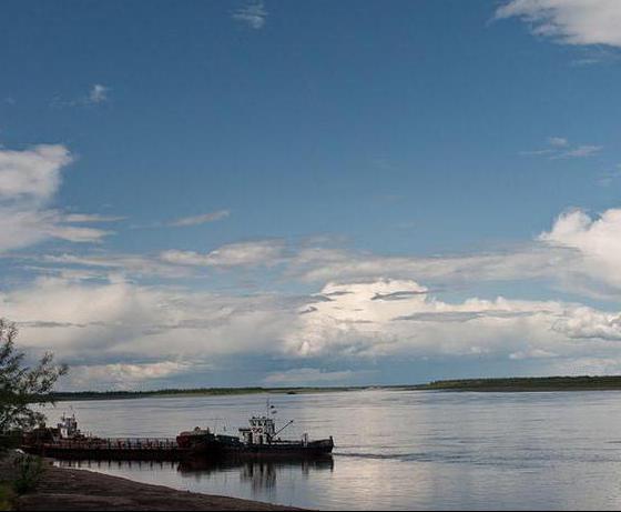 el río en yakutia flujo de aldana