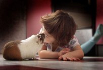 The animals and child. Pets and their importance in child development