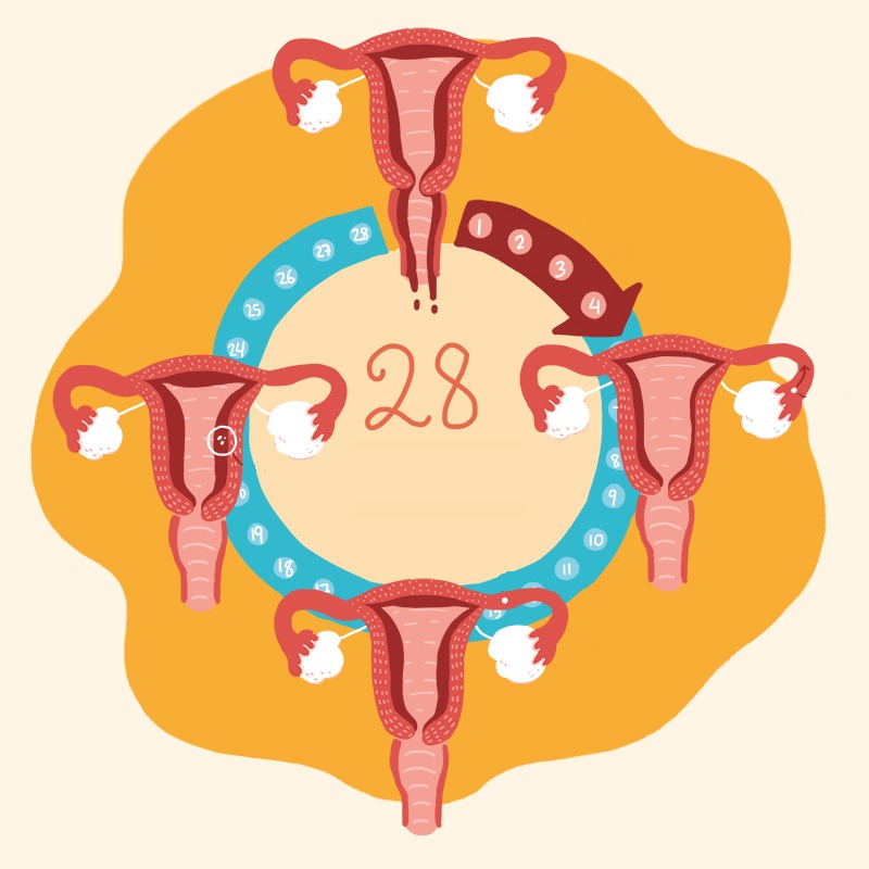 उल्लंघन का कारण बनता menstrualnogo चक्र के बाद 40