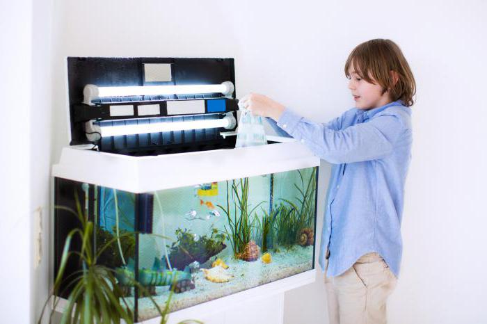 instructions how to care for fish in an aquarium