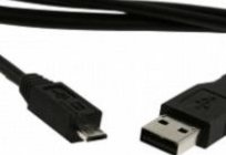 Micro-USB: ámbito de aplicación y perspectivas