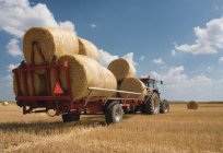 Rolnictwo Kazachstanu: branży, wyzwania, rozwój. Rolnictwo Południowego Kazachstanu