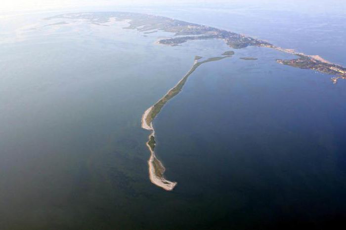 Золотий берег Бердянськ