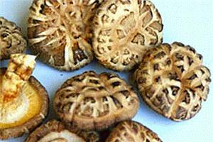 Chinese black mushrooms