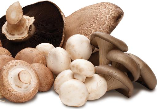 category mushrooms nutritional value