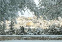 एक यात्रा करने के लिए जनवरी में इसराइल: मौसम, रिसॉर्ट, यात्रा युक्तियाँ
