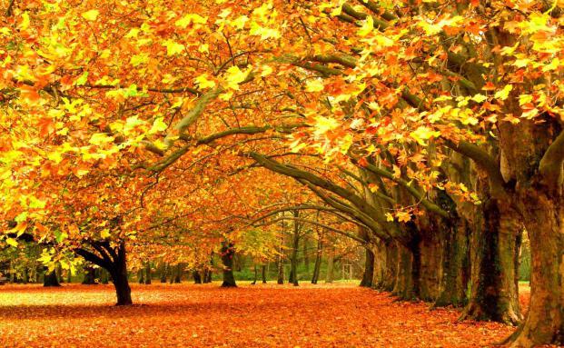 вірші про осінь короткі