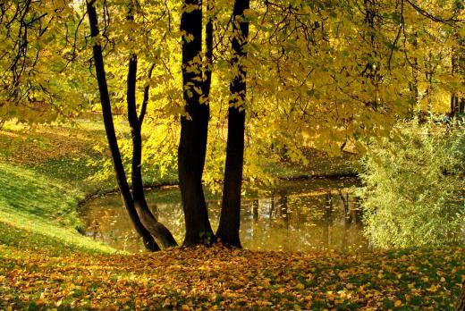 Pushkin's poems about autumn