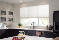 Cómo elegir las persianas de la cocina de la foto