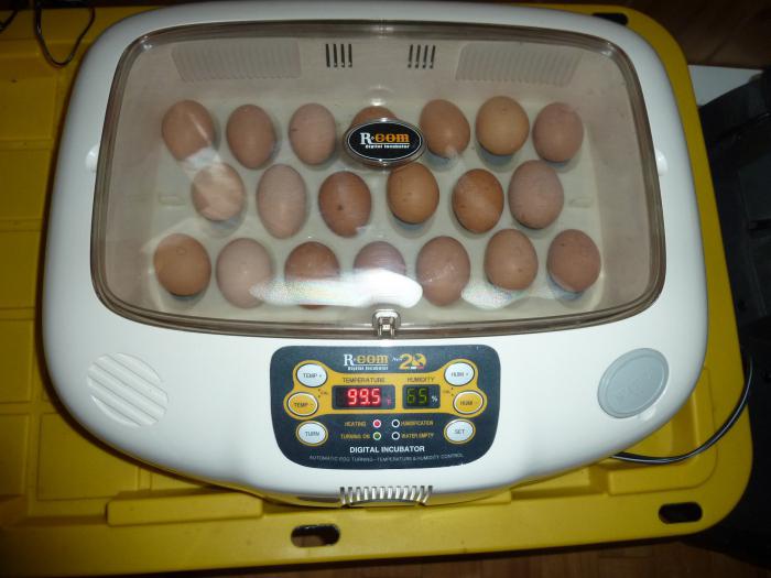 hatching incubator