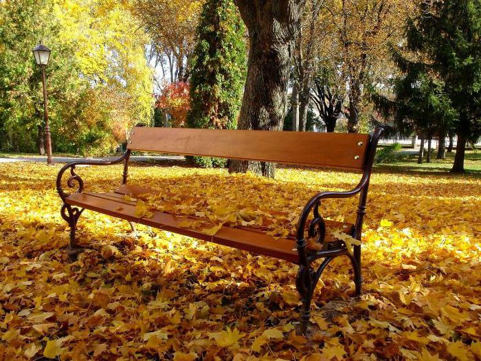 , восеньская сямейная фотасесія ў парку ідэі