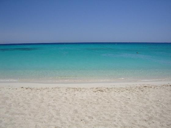 jaz bluemarine Hurghada Hurghada resort 5