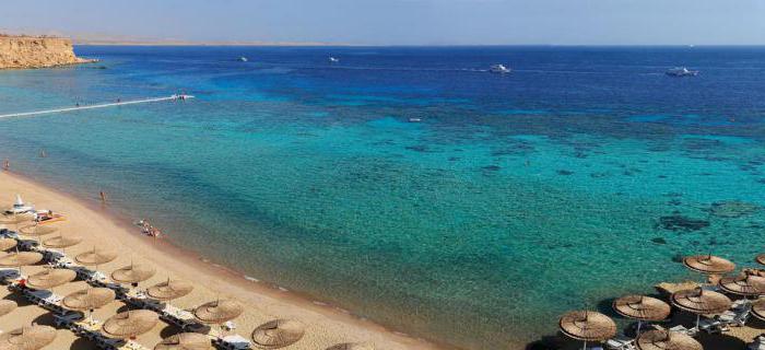埃及珊瑚礁的绿洲海滩度假村5