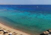 珊瑚礁绿洲海滩度假村5*(埃及，沙姆沙伊赫)：酒店说明、评论、以及照片