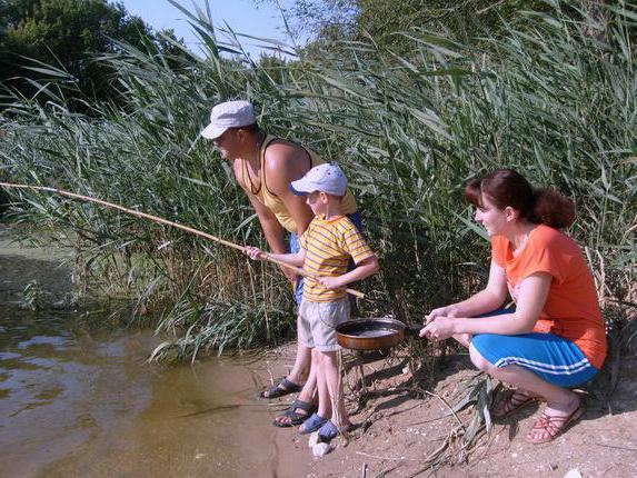 top kushikino Belgorod oblast fishing