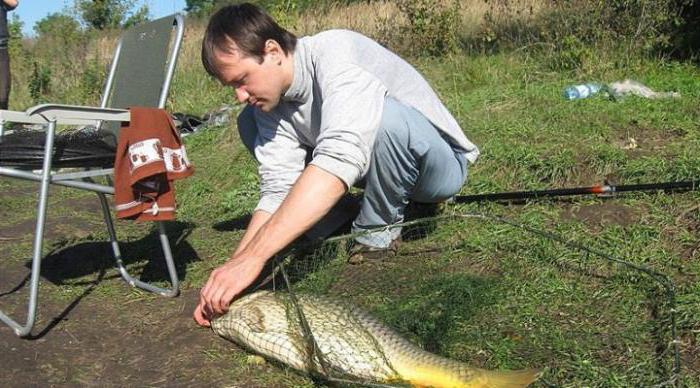 fishing in kushikino Belgorod region reviews fishermen