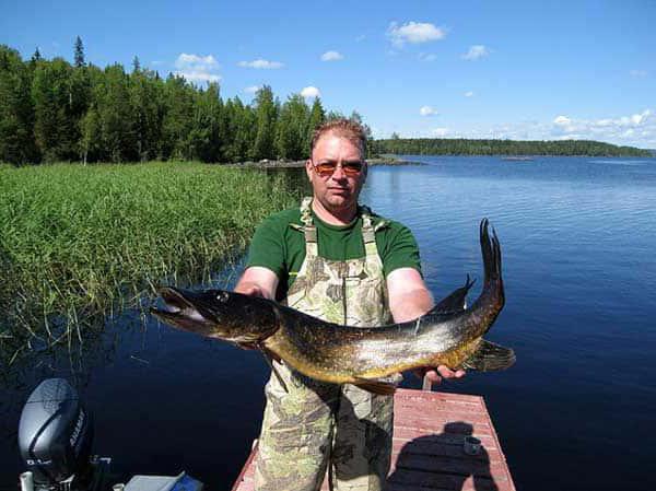 la pesca en el кузькино belgorod el ámbito de la foto