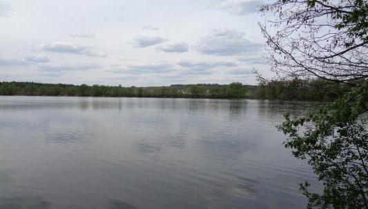 рыбалка ў кузькино белгародскай вобласці водгукі рыбакоў