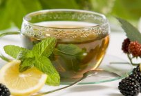 Ne iyi içki banyosu: çay tarifleri, pişirme özellikleri ve yorumları