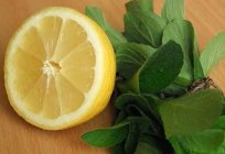 Тоспасы жалбыз және лимон: дайындау рецепті