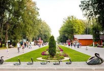 Where to go for a walk? All the parks of Tula