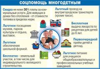三个孩子的家庭：什么是有资格享受福利，在俄罗斯？