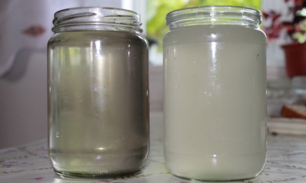 moonshine antes e após a filtragem