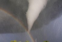 Dream interpretation: dream about a tornado... what?