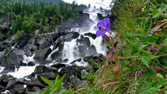 Wasserfälle Altai
