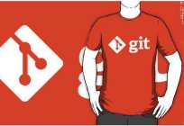 Gitは何ですか？ Git初心者のための記述