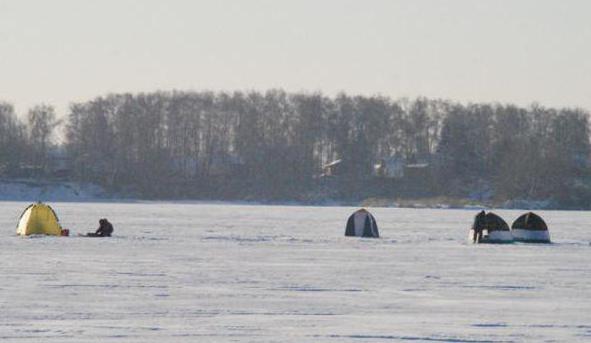 biserovskoe RYBOKOMBINAT