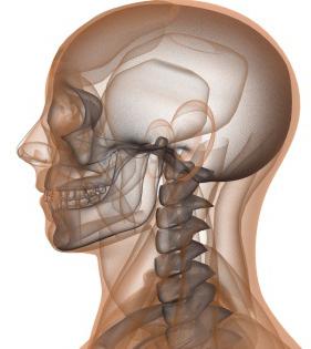 osso temporal do crânio