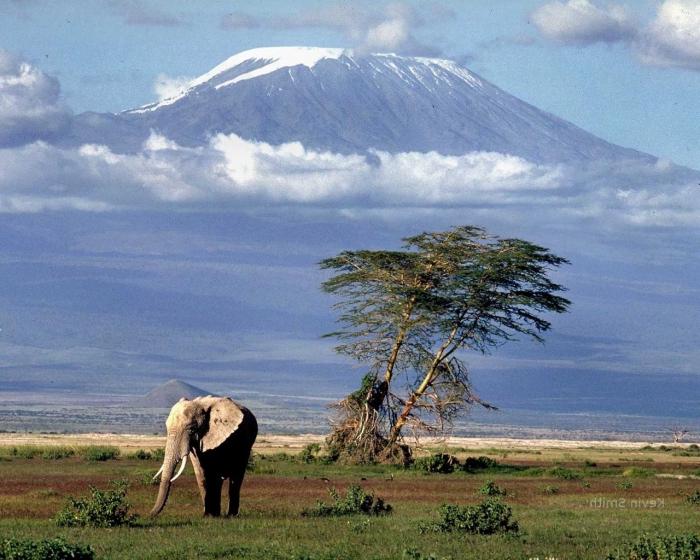 der höchste Vulkan in Afrika