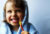 The best pediatric dentist reviews parents