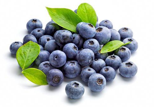 blueberry podczas karmienia piersią w pierwszym