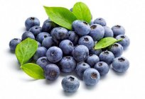 Can blueberries with breastfeeding a baby?