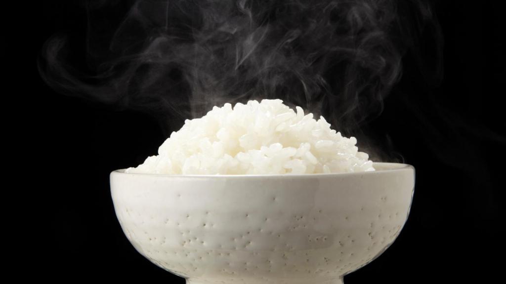 gekochten Reis