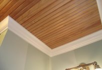 Ceiling for bathroom: features, requirements, views and interesting ideas