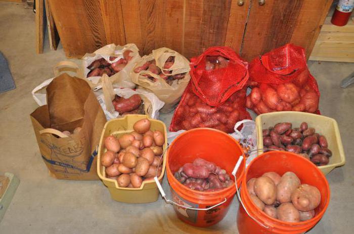 wie viel kg Kartoffeln im Eimer