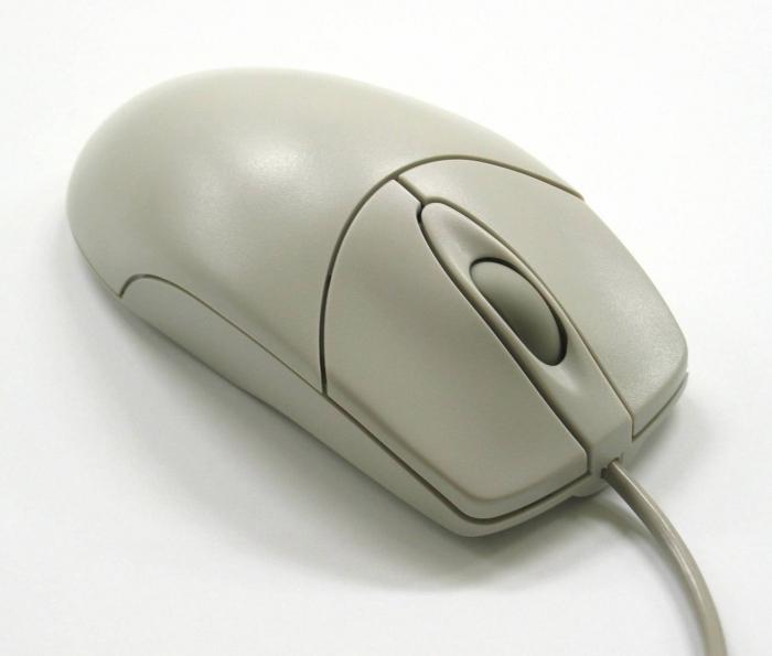 停止工作的老鼠上的笔记本电脑？