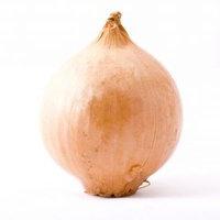 calorie content onion