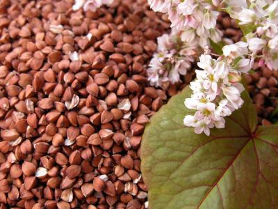 how much proteins fats and carbohydrates in buckwheat
