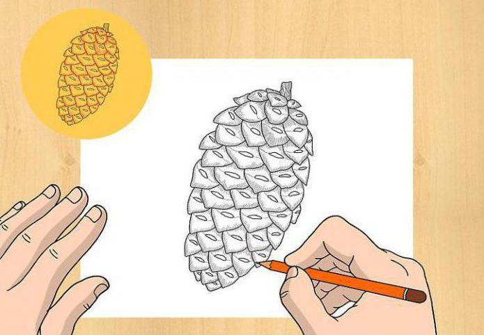 cómo dibujar palpable pino
