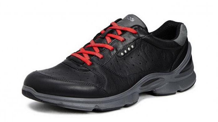 ecco biom running shoes reviews price