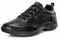 सबसे अच्छा जूते के लिए जीवन है, एक पुरुषों की चल जूते Ecco Biom! ग्राहक की समीक्षा